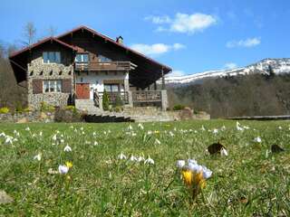 Фото Шале Chalet Kukavica г. Ждениево